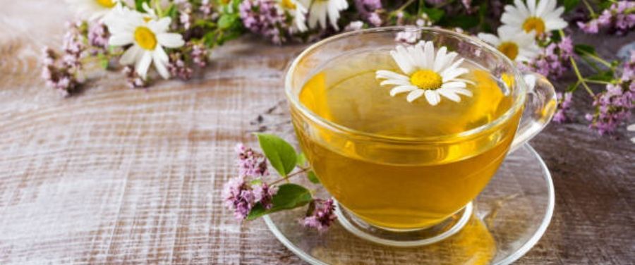 chamomile tea and its health benefits