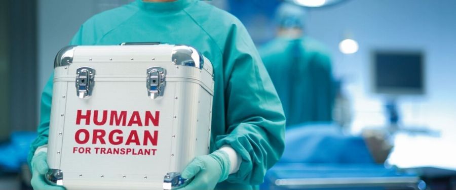 Human Organ for Transplant