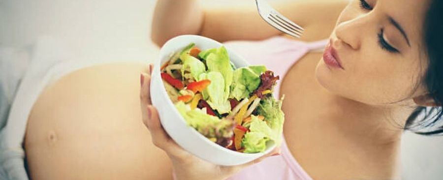 Pregnancy Diet Food to Eat During Pregnancy