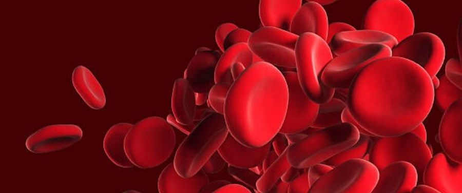 Red Blood Cells (RBC)