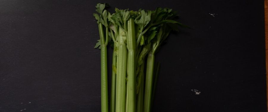Celery-Leaves