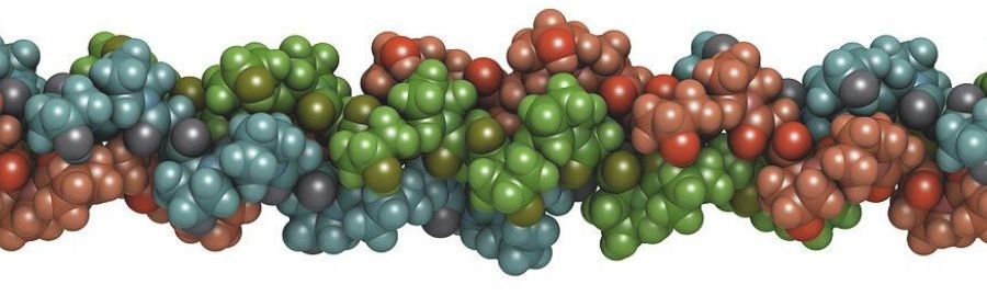 collagen-protein-molecule