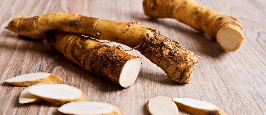 horseradish root for sinus infection