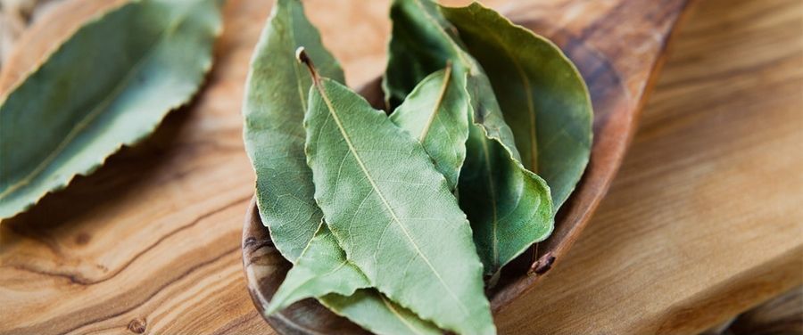 Bay Leaf (Laurus Nobilis): 13 Science-Based Health Benefits