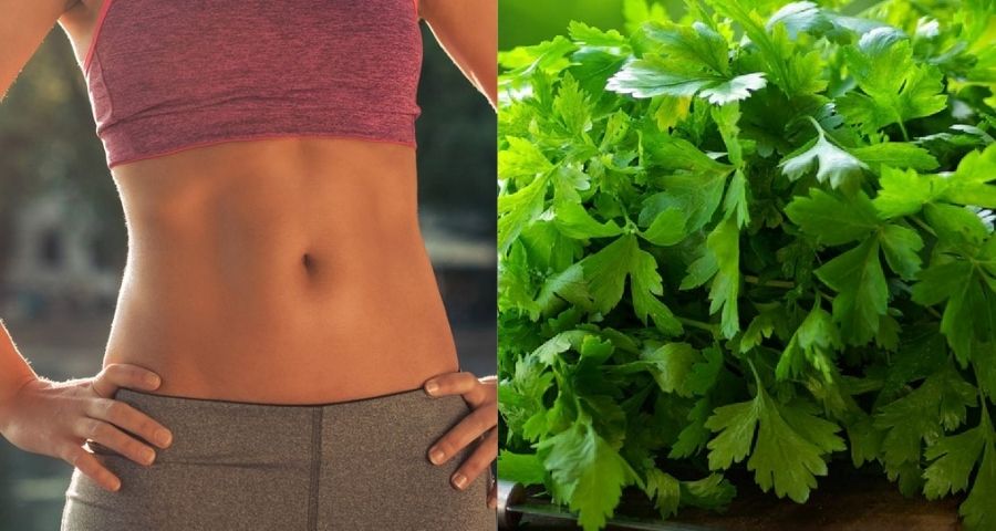 Coriander Water and Weight Loss