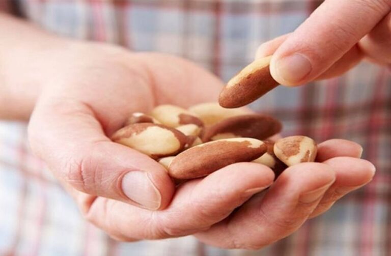 Brazil nuts Nutrition, benefits and sideeffects High Rated Gabru