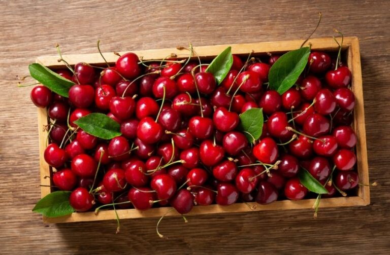 12 Proven Health Benefits of Cherries High Rated Gabru