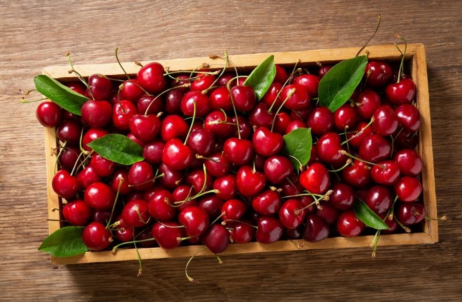 Health Benefits of Cherry