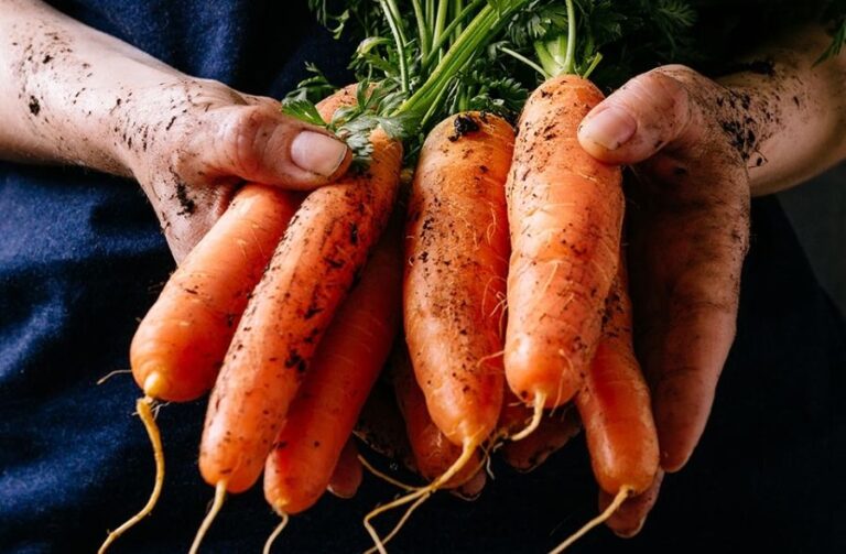 Beta Carotene Benefits, SideEffects, Deficiency and Foods Rich in