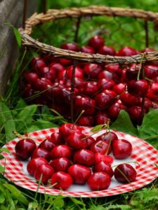 benefits of cherries