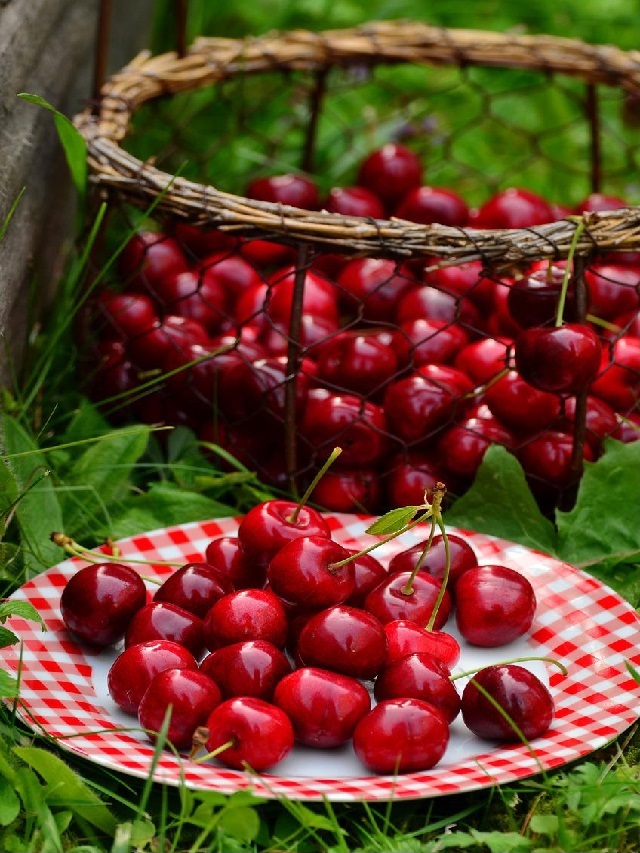 12 Health Benefits of Cherries