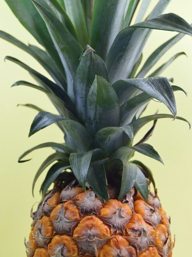 Solid Reasons Why You Should Eat Pineapple