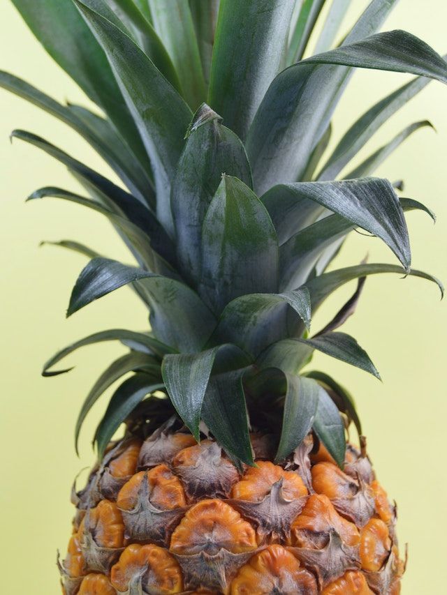 Health Benefits of Pineapple Fruit