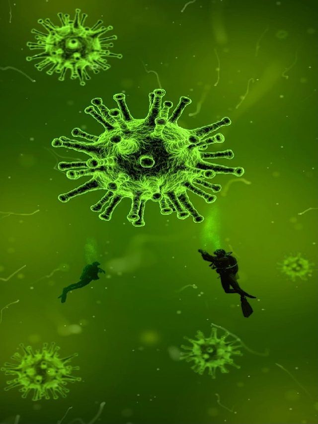 Powassan Virus (POWV): Causes, Symptoms, Treatment