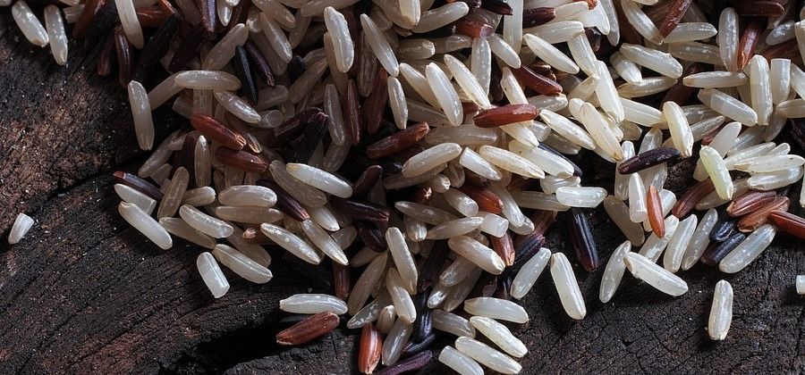 What are the surprising side-effects of eating white rice