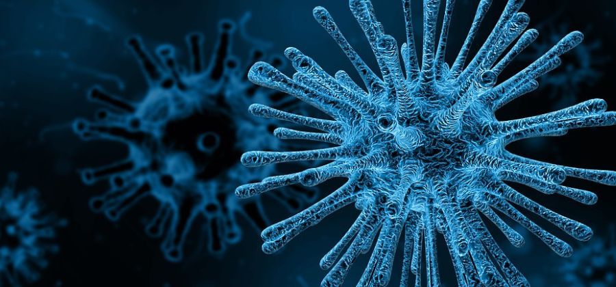 What is the Marburg virus? Symptoms, prevention, treatment, and outbreak