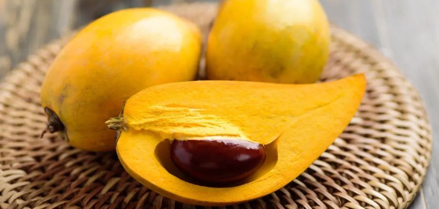 Health benefits of Eggfruit