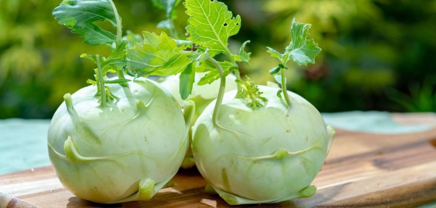 Kohlrabi vegetable: Health benefits, nutrition, side effects and recipes