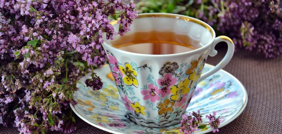 Oregano Tea Benefits